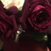 ヒメ日記 2026/02/26 05:11 投稿 みずき 愛知弥富ちゃんこ