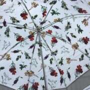 ヒメ日記 2026/02/27 09:01 投稿 みずき 愛知弥富ちゃんこ