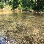 ヒメ日記 2026/02/27 09:31 投稿 みずき 愛知弥富ちゃんこ