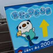ヒメ日記 2026/03/02 13:41 投稿 みずき 愛知弥富ちゃんこ