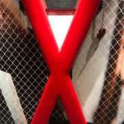 ヒメ日記 2026/03/16 09:35 投稿 みずき 愛知弥富ちゃんこ