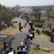 ヒメ日記 2026/04/09 15:21 投稿 みずき 愛知弥富ちゃんこ