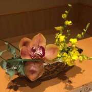 ヒメ日記 2026/06/28 16:21 投稿 みずき 愛知弥富ちゃんこ