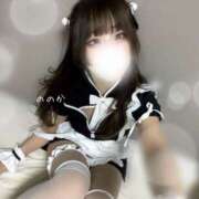 ヒメ日記 2025/03/16 09:04 投稿 ののか ビアガーデンカーニバル