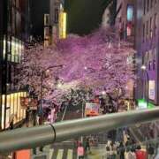 ヒメ日記 2025/04/04 15:46 投稿 さな 美少女制服学園CLASSMATE　五反田校