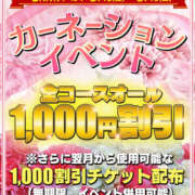 ヒメ日記 2024/05/12 11:34 投稿 若熟 まこ ハナミズキ