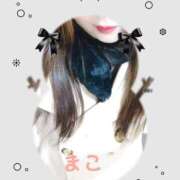 ヒメ日記 2024/12/20 19:10 投稿 若熟 まこ ハナミズキ