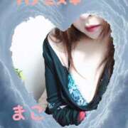 ヒメ日記 2024/12/21 11:10 投稿 若熟 まこ ハナミズキ