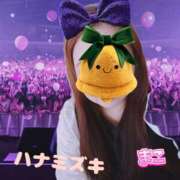 ヒメ日記 2024/12/22 10:56 投稿 若熟 まこ ハナミズキ