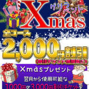 ヒメ日記 2024/12/25 17:30 投稿 若熟 まこ ハナミズキ