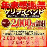 ヒメ日記 2024/12/29 10:40 投稿 若熟 まこ ハナミズキ