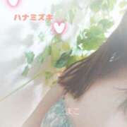 ヒメ日記 2025/01/28 19:00 投稿 若熟 まこ ハナミズキ