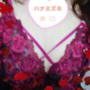 ヒメ日記 2025/01/29 11:08 投稿 若熟 まこ ハナミズキ