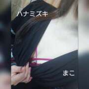 ヒメ日記 2025/02/01 10:20 投稿 若熟 まこ ハナミズキ