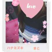 ヒメ日記 2025/02/08 10:14 投稿 若熟 まこ ハナミズキ