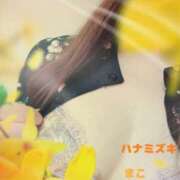 ヒメ日記 2025/02/18 10:32 投稿 若熟 まこ ハナミズキ