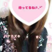 ヒメ日記 2025/02/25 19:32 投稿 若熟 まこ ハナミズキ