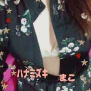 ヒメ日記 2025/02/28 09:44 投稿 若熟 まこ ハナミズキ