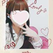 ヒメ日記 2025/05/31 20:04 投稿 若熟 まこ ハナミズキ