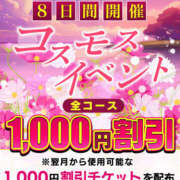 ヒメ日記 2025/10/24 20:40 投稿 若熟 まこ ハナミズキ