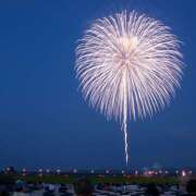 ヒメ日記 2025/11/03 09:00 投稿 若熟 まこ ハナミズキ