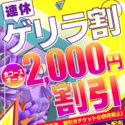 ヒメ日記 2025/11/03 10:54 投稿 若熟 まこ ハナミズキ