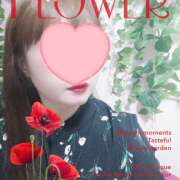 ヒメ日記 2025/11/04 11:02 投稿 若熟 まこ ハナミズキ