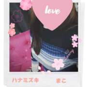 ヒメ日記 2025/11/07 19:02 投稿 若熟 まこ ハナミズキ