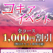 ヒメ日記 2025/11/09 11:02 投稿 若熟 まこ ハナミズキ