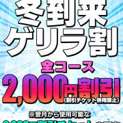 ヒメ日記 2025/11/24 11:20 投稿 若熟 まこ ハナミズキ