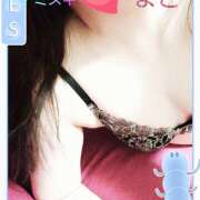 ヒメ日記 2025/11/30 10:38 投稿 若熟 まこ ハナミズキ