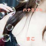 ヒメ日記 2025/12/01 11:00 投稿 若熟 まこ ハナミズキ