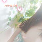 ヒメ日記 2025/12/05 10:44 投稿 若熟 まこ ハナミズキ