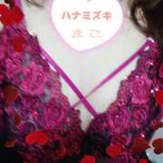 ヒメ日記 2025/12/06 10:52 投稿 若熟 まこ ハナミズキ