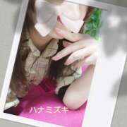 ヒメ日記 2025/12/07 10:44 投稿 若熟 まこ ハナミズキ