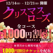 若熟 まこ おはよう♪ ハナミズキ