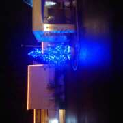 若熟 まこ 御礼♪ ハナミズキ