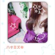 ヒメ日記 2025/12/26 11:10 投稿 若熟 まこ ハナミズキ