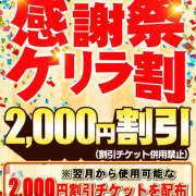 ヒメ日記 2025/12/27 10:56 投稿 若熟 まこ ハナミズキ