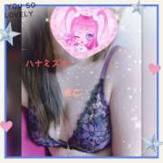 ヒメ日記 2026/01/12 10:56 投稿 若熟 まこ ハナミズキ