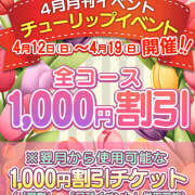 ヒメ日記 2026/04/18 10:32 投稿 若熟 まこ ハナミズキ