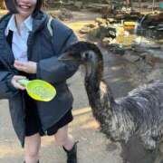 ヒメ日記 2026/01/17 18:00 投稿 りま 多恋人倶楽部（山口）