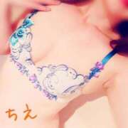 ヒメ日記 2024/12/12 14:50 投稿 ちえ 桃李（とうり）