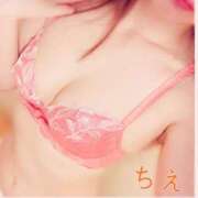 ヒメ日記 2024/12/18 14:44 投稿 ちえ 桃李（とうり）