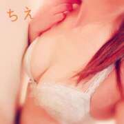 ヒメ日記 2025/03/18 14:44 投稿 ちえ 桃李（とうり）