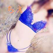 ヒメ日記 2025/03/22 16:16 投稿 ちえ 桃李（とうり）