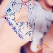 ヒメ日記 2025/06/05 14:44 投稿 ちえ 桃李（とうり）