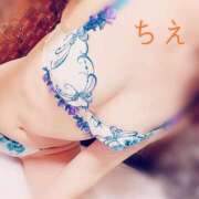 ヒメ日記 2025/06/23 16:34 投稿 ちえ 桃李（とうり）