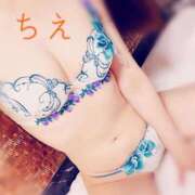 ヒメ日記 2025/07/16 14:44 投稿 ちえ 桃李（とうり）