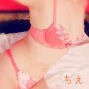 ヒメ日記 2025/08/08 20:59 投稿 ちえ 桃李（とうり）